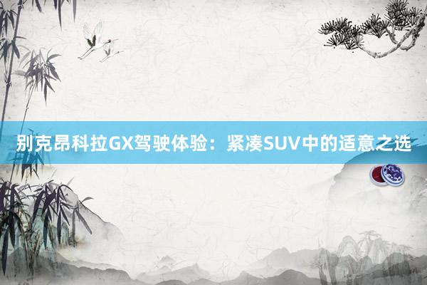 别克昂科拉GX驾驶体验：紧凑SUV中的适意之选